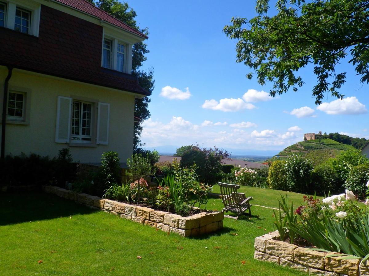 Villa Burgblick - Luxury Bnb Staufen im Breisgau Exterior photo